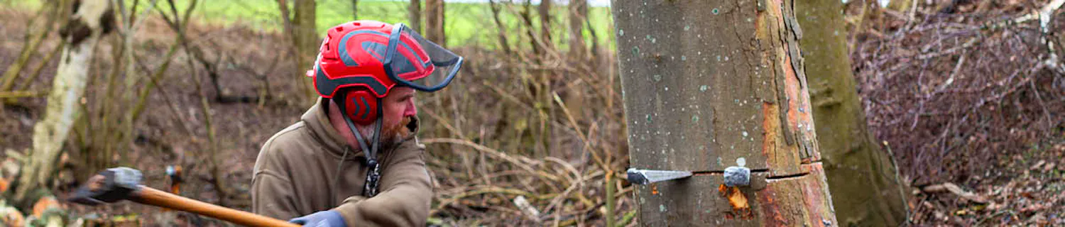 Trefelling Fell treet som en skogsarbeider